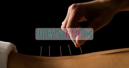 針灸推拿學(xué)校哪個(gè)好