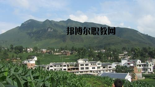 納雍中等職業(yè)學校地址在哪里