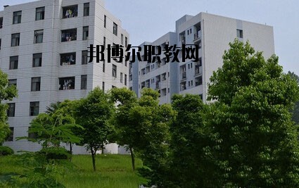 四川紅十字衛(wèi)生學(xué)校2020年有哪些專業(yè)