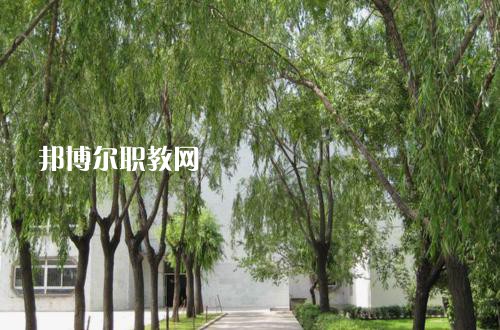 新疆喀什地區(qū)衛(wèi)生學校2021年報名條件、招生要求、招生對象